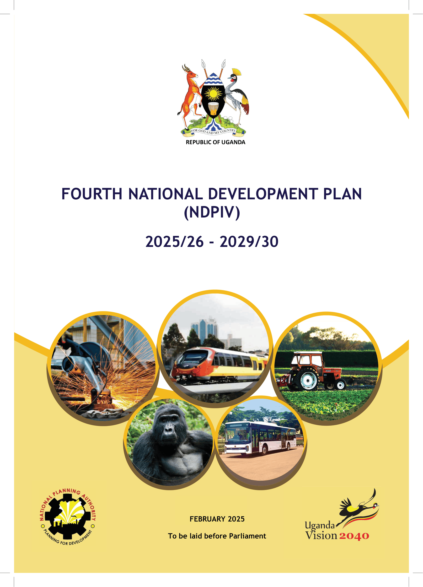 NDP IV